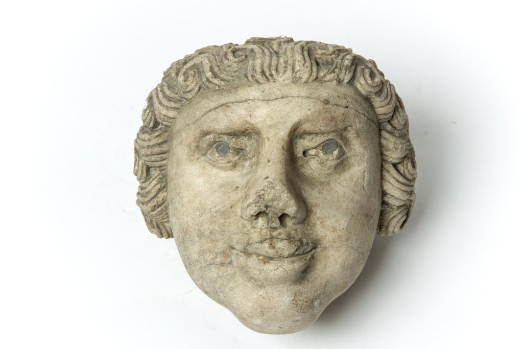 Testa di fanciullo