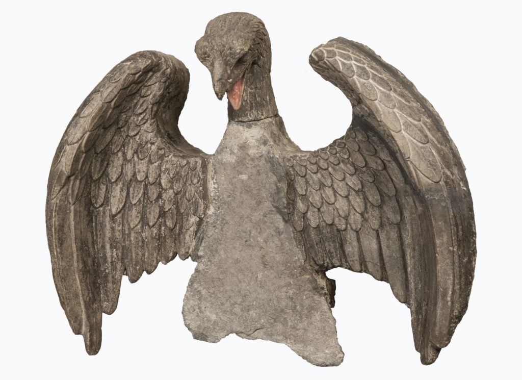 Aquila