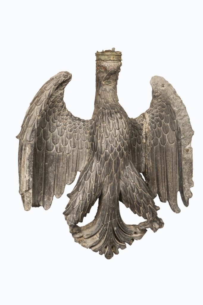 Aquila coronata